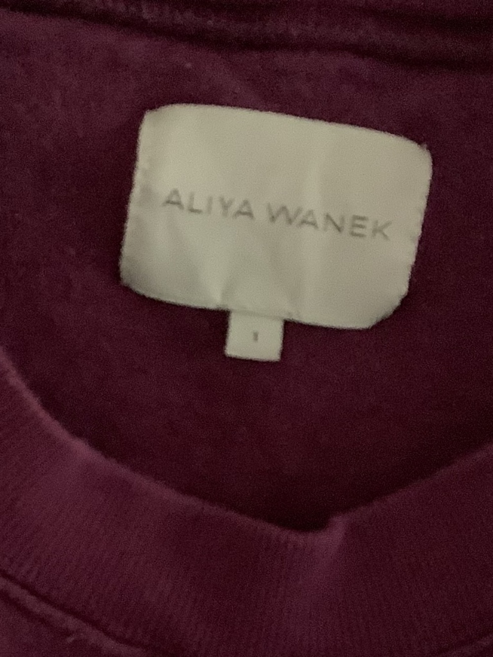 Aliya Wanek Sweatshirt in  Plum - Picture 3 of 5